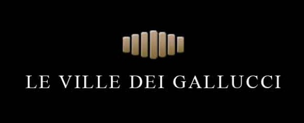 Immobiliare San Geminiano - Cognento s.r.l.